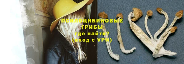 шишки Верея
