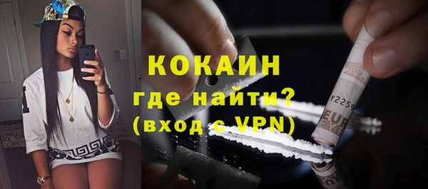 шишки Верея