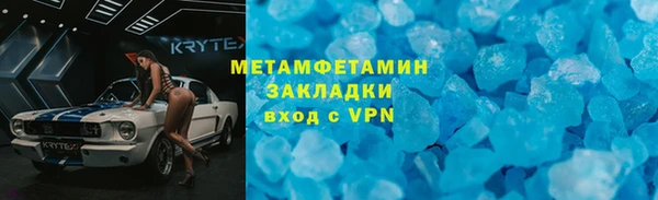 шишки Верея