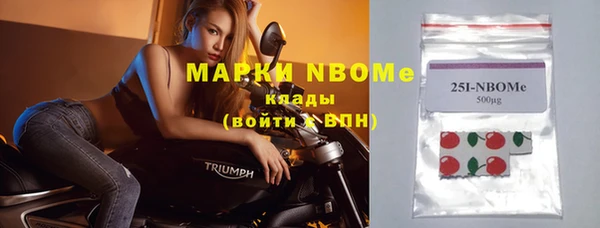 шишки Верея