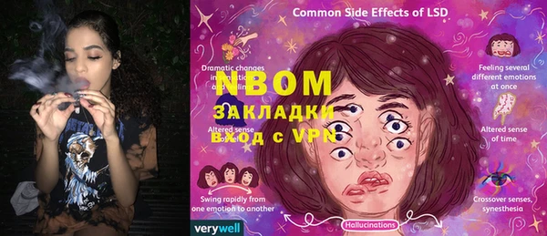 шишки Верея