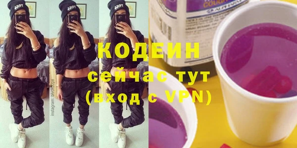 шишки Верея