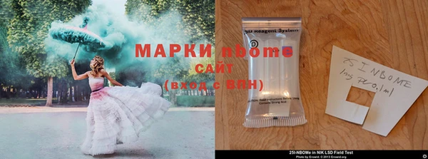 шишки Верея