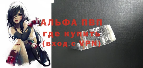 шишки Верея